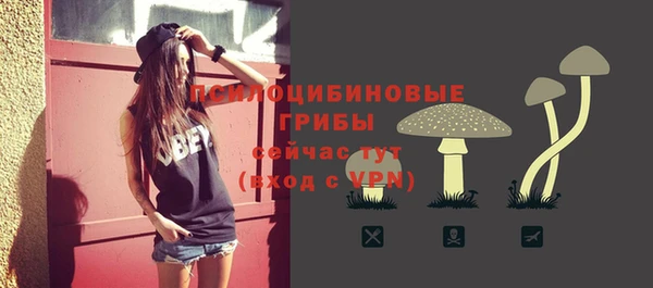 мдма Няндома