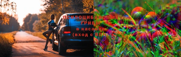 дмт Армянск